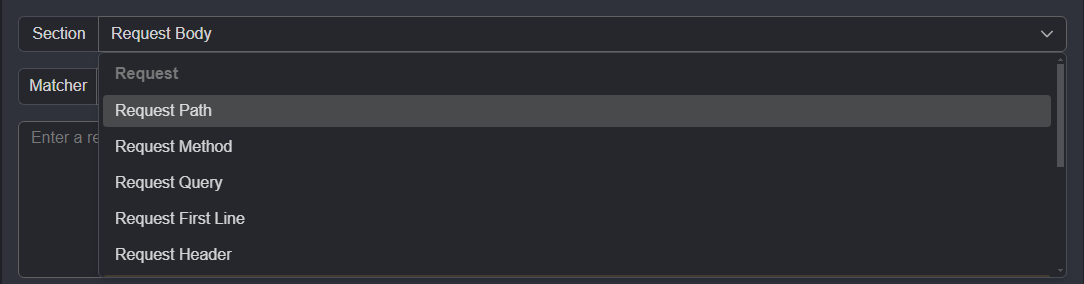 Match and replace request sections.